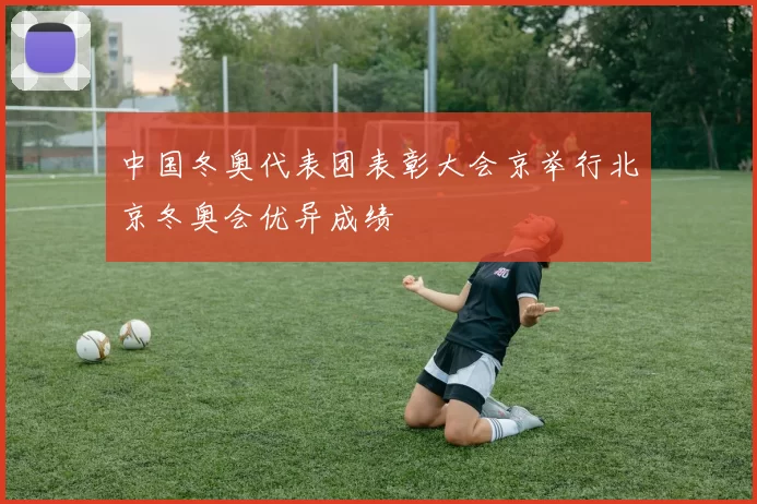 中国冬奥代表团表彰大会京举行北京冬奥会优异成绩