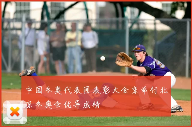 中国冬奥代表团表彰大会京举行北京冬奥会优异成绩