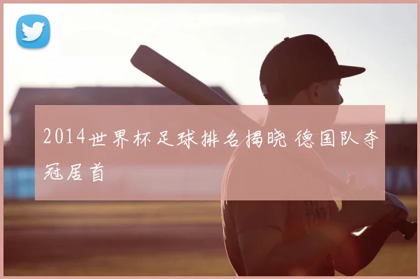 2014世界杯足球排名揭晓 德国队夺冠居首