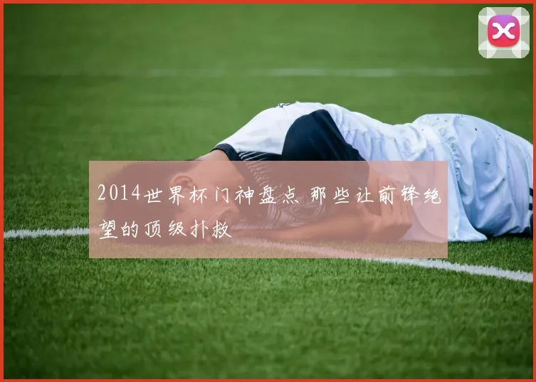2014世界杯门神盘点 那些让前锋绝望的顶级扑救